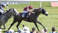 Olivier d’Andigne guides Queenshala towards the finish line.