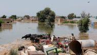 A family takes refuge with their belongings and animals amid rising flood water, following rains and floods during the monsoon season on the outskirts of Bhan Syedabad, Pakistan September 8, 2022. REUTERS/Akhtar Soomro