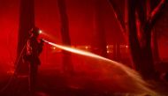 A firefighter works as the Mosquito Fire burns in Foresthill, California, US, on September 13, 2022. REUTERS/Fred Greaves