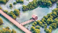 An aerial view of Al Thakhira mangroves near Al Khor. 
