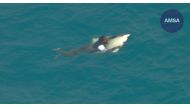 Pic: Australian Maritime Safety Authority - AMSA
