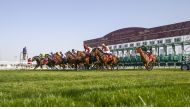 A file photo of action during the HH The Amir Sword Festival.