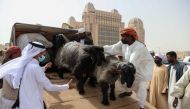 File photo: Sheep and goats arrive at Katara for the 10th Halal Festival.

