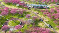 This aerial photo taken on February 16, 2023 shows people wathcing plum blossom in Ningbo, in China's eastern Zhejiang province. (Photo by AFP) / China OUT