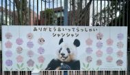 Twitter / panda_xiang_xiang