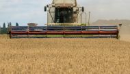 A combine harvests wheat in a field near the village of Zghurivka in Kyiv region, Ukraine August 9, 2022. REUTERS/Viacheslav Musiienko/File Photo

