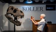 A man takes a picture of the skull of 'Trinity' prior to the sale of the skeleton of the Tyrannosaurus-Rex (T-Rex) by Koller auction house in Zurich, on April 18, 2023. (Photo by Fabrice Coffrini / AFP)