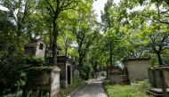 Weeds are seen growing uncut around the tombs at the Pere Lachaise cemetery in Paris, on August 8, 2023. (Photo by Bertrand Guay / AFP)
