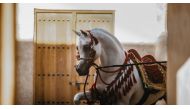 A total of 272 horses, including 70 from outside Qatar, will compete during the event.
