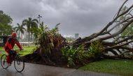 A man cycles past a downed tree as inclement weather from Cyclone Jasper impacts Cairns in far north Queensland on December 13, 2023. Photo by Brian CASSEY / AFP