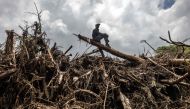A man stands on top of a tree trunk in an area full of damaged trees, mud and debris carried by water following flash floods and landslides in Mai Mahiu, on April 30, 2024. Photo by LUIS TATO / AFP