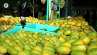 File photo of mangoes from the previous edition at Souq Waqif 