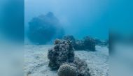 A picture taken during the survey.