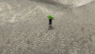 Aerial view of a riverbank dweller carrying banana produce over the dry Solimoes riverbed in the Pesqueiro community in Manacapuru, Amazonas state, northern Brazil, on September 30, 2024. (Photo by Michael Dantas / AFP)