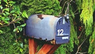Representational photo