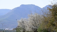 This photo taken on March 19, 2025 shows the spring scenery in Islamabad, Pakistan. (Xinhua/Ahmad Kamal)
