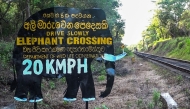 A signboard alerting elephant crossing is pictured near the site of a train accident in Habarana, on May 20, 2025. (Photo by AFP)
