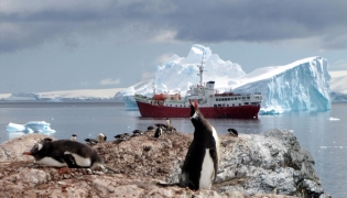 File photo of penguins 