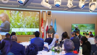 Participants during the meeting in New York.