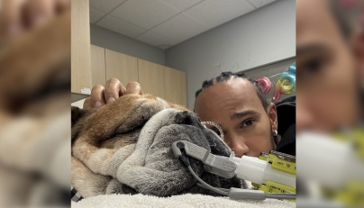 Pic from Lewis Hamilton's official X account