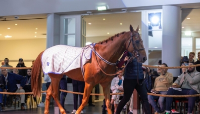 The QREC-sponsored Qatar Prix de l’Arc de Triomphe weekend draws the world’s racing eyes to Paris.