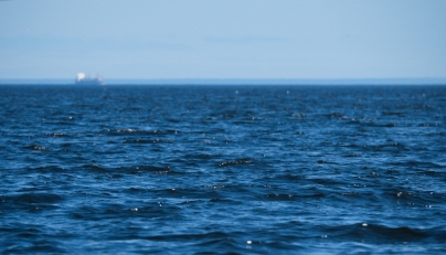 Image used for representation only.