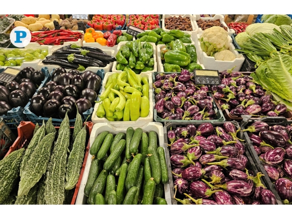 File photo used for representation only. Pic by: Marivie Alabanza / The Peninsula