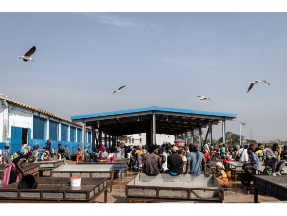 Seagulls fly over a fish market in Bissau, on November 26, 2025. (Photo by PATRICK MEINHARDT / AFP)

