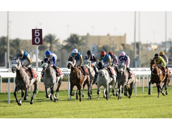 As many as 10 high-profile races will take place at Al Rayyan Racecourse on Saturday. 