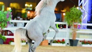 File photo used for representation only 