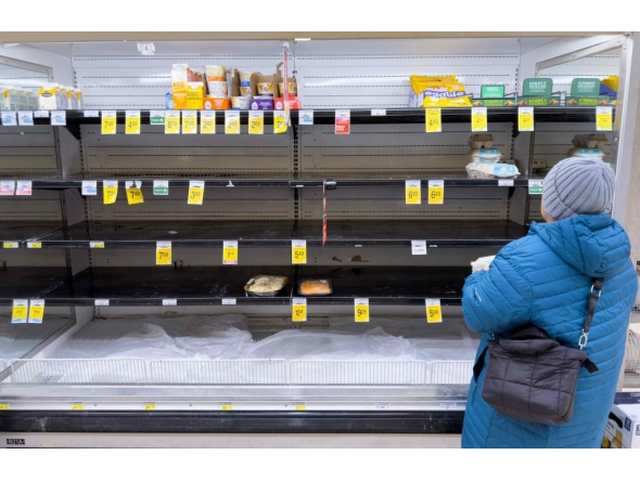 A person shops for eggs on mostly empty shelves as residents stock up ahead of a cold front expected in the area in Arlington, Virginia, on January 23, 2026. (Photo by Saul Loeb / AFP)