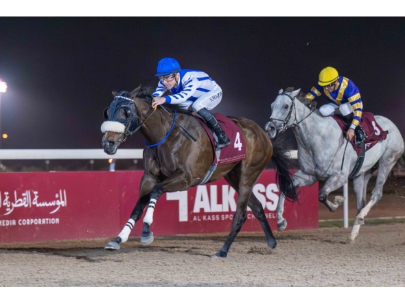 Jockey Szczepan Mazur and Waajidd on their way to Wadi Al Sail Cup win. PICS: JUHAIM/QREC