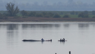 Rescuers try to help a stranded humpback whale off the Baltic Sea coast near the island of Poel, near Wismar, northern Germany, on April 16, 2026. Photo by Danny GOHLKE / AFP
