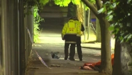 Police say the car travelled for more than 100 metres down a footpath that was lined with trees. (ABC News)