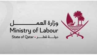 QNA / X