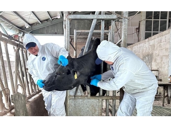 Veterinary workers at a farm in Kazakhstan.