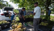 This picture, taken on June 23, 2026, shows a vendor selling durians by the roadside in Karak, in Malaysia's Pahang state. (Photo by Mohd Rasfan / AFP)
