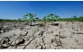 (FILES) This picture shows dry soil in a sunflower field near the Po River Delta at Scardovari, Italy, northeast Italy, on June 26, 2026. (Photo by Stefano RELLANDINI / AFP)