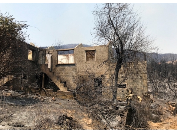 File photo of damage from wildfires in the Algerian region of Tizi Ouzou. Reuters.