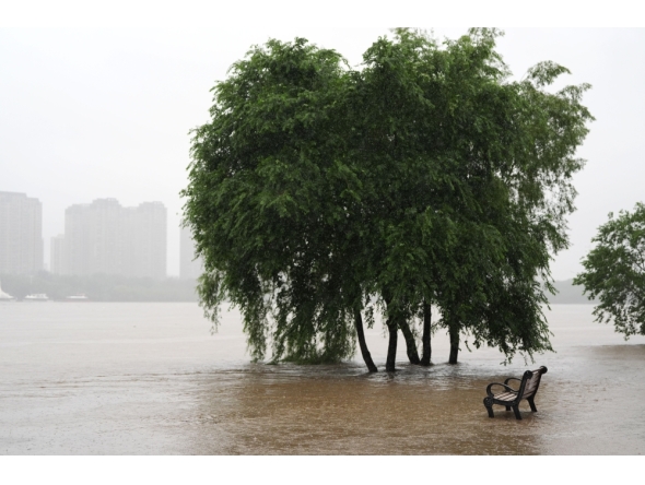 This photo taken on July 13, 2026 shows trees submerged in floodwaters by the Hunhe River in Shenyang, northeast China's Liaoning Province. Due to recent downpours, the water level at the Shenyang Hydrological Station on the Hunhe River reached 37.99 meters. (Xinhua/Li Gang)