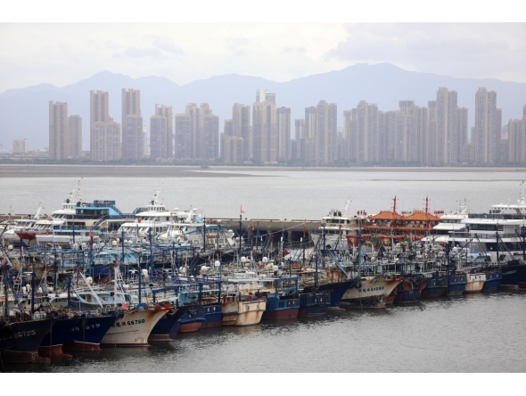 Fishing boats take shelter from the typhoon at a port in Xiamen, southeast China's Fujian Province, on July 25, 2026. (Photo by Zeng Demeng/Xinhua)