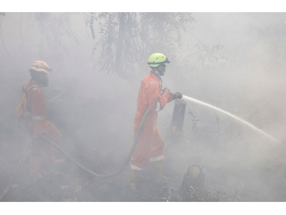 Firefighters extinguish forest and land fires in Banjar, South Kalimantan, on September 21, 2026. (Photo by Muda Sagala / AFP)