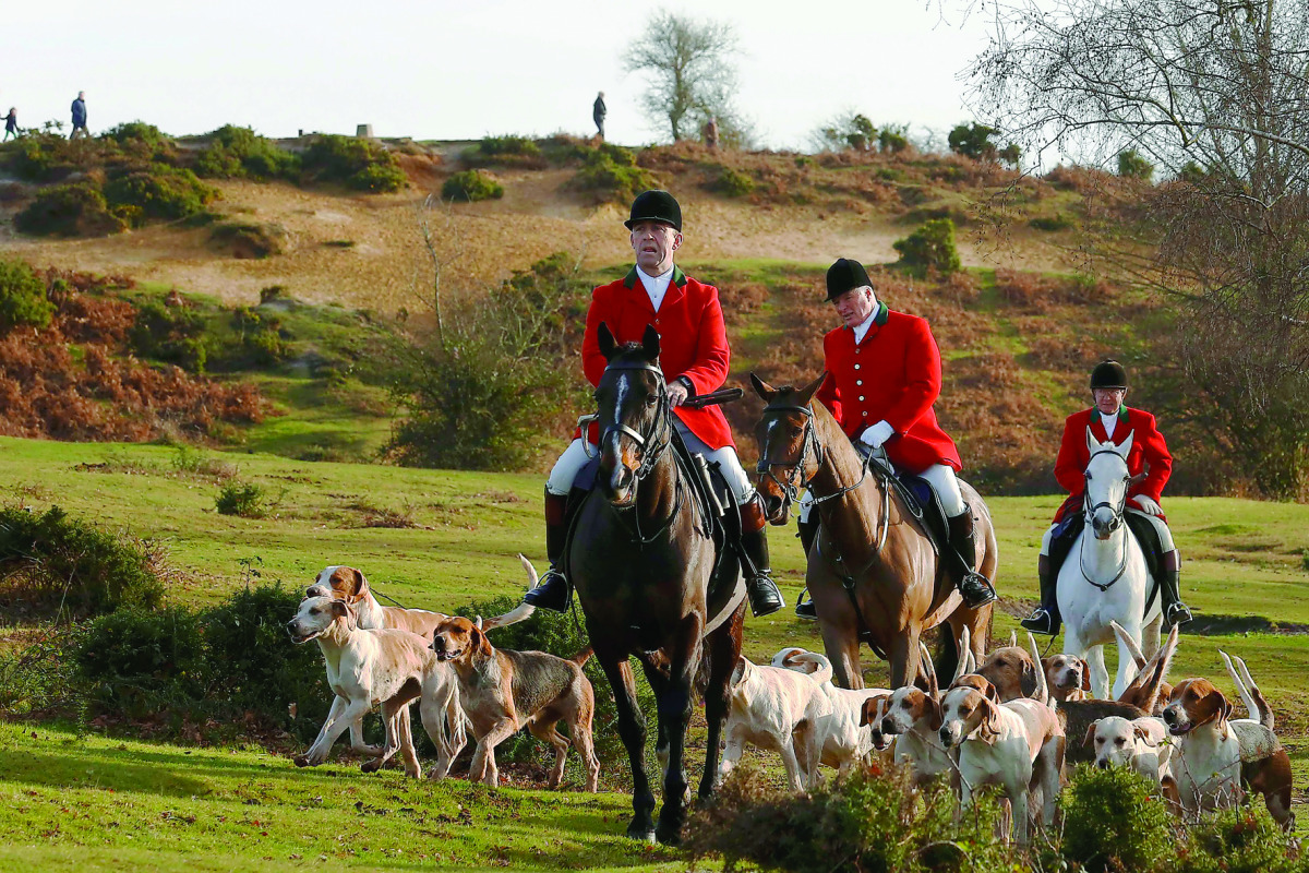 Members of the New Forest Hunt gather at Boltons Bench for the annual Boxing Day hunt in Lyndhurst, southern England, Britain December 26, 2016. Since a ban stopped fox hunting with hounds, hunts continued with dogs chasing down a pre-laid scented trail i