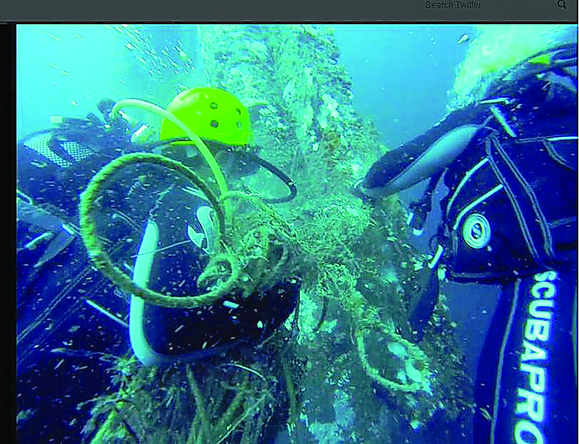 Divers removing waste from the sea. 