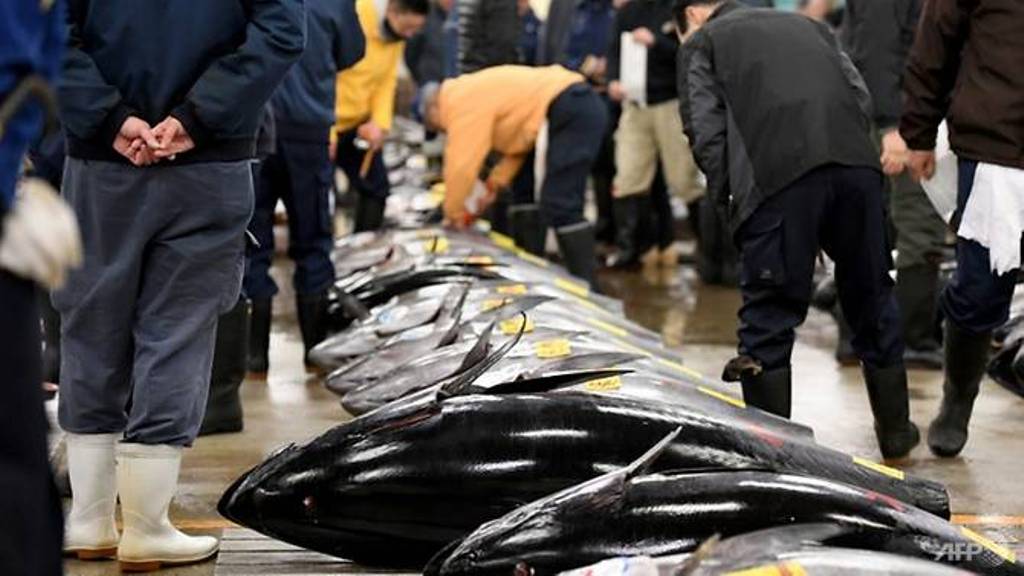 Fishmongers check bluefin tuna before the new year's first auction at the Tsukiji fish market on Jan 5, 2017. (Photo: AFP/Toshifumi Kitamura).