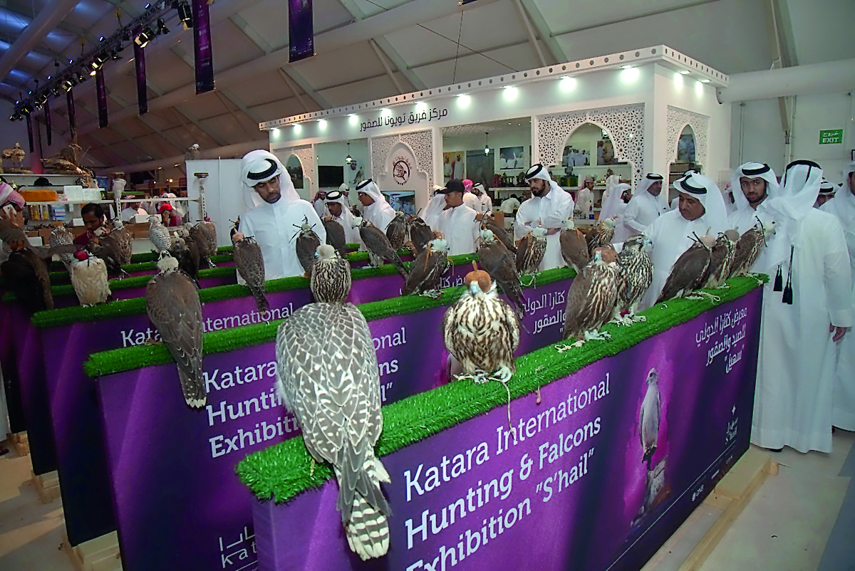 Falcons on display at S’hail 2017 at Katara Building 12.lay at S’hail 2017 at Katara Building 12.