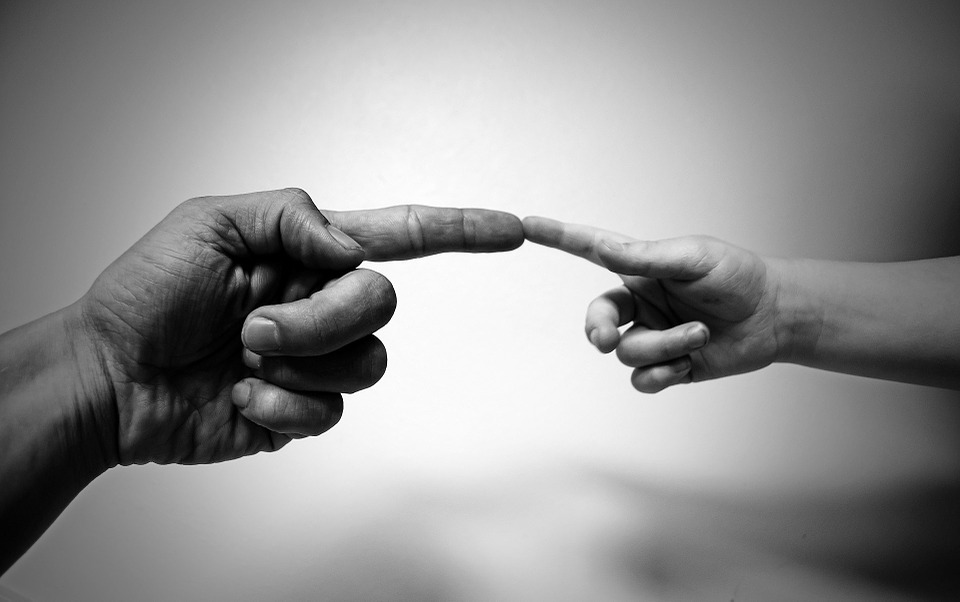 Image used for representation 