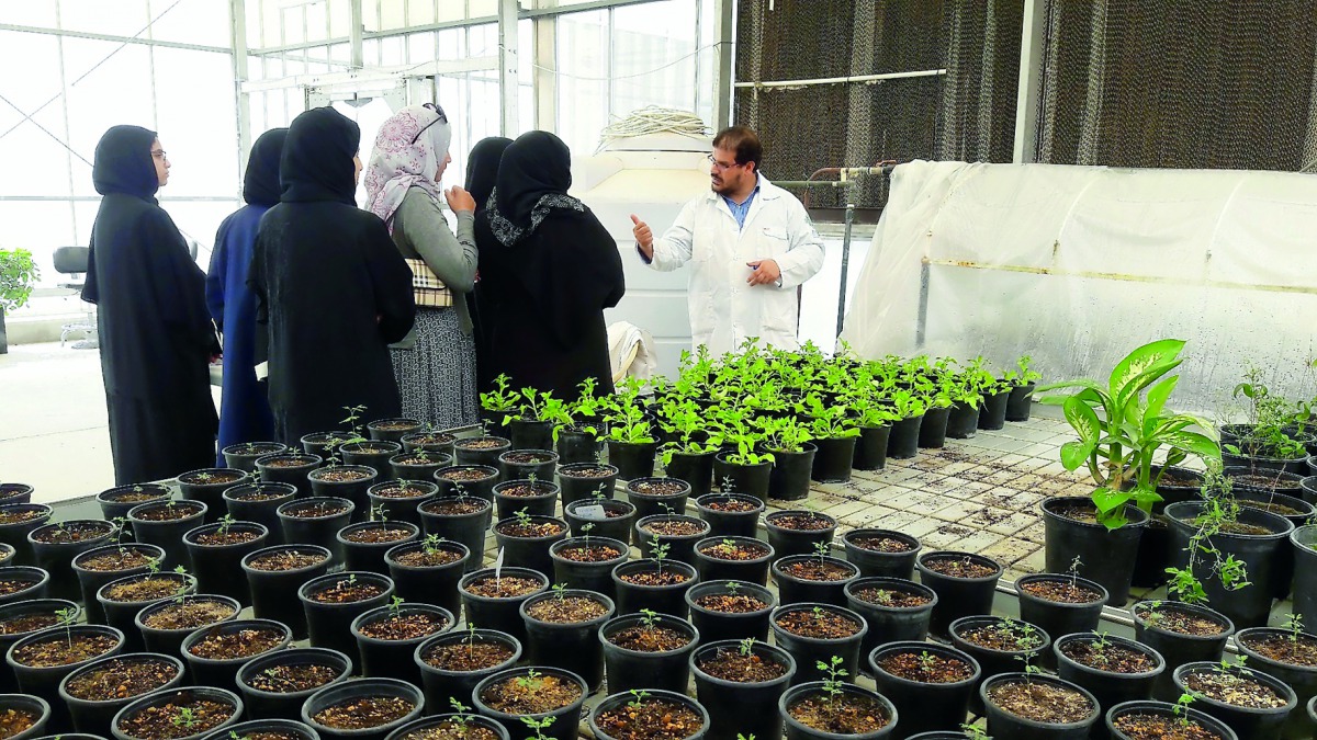 A session during an environmental drive by the Quranic Botanic Garden (QBG). 