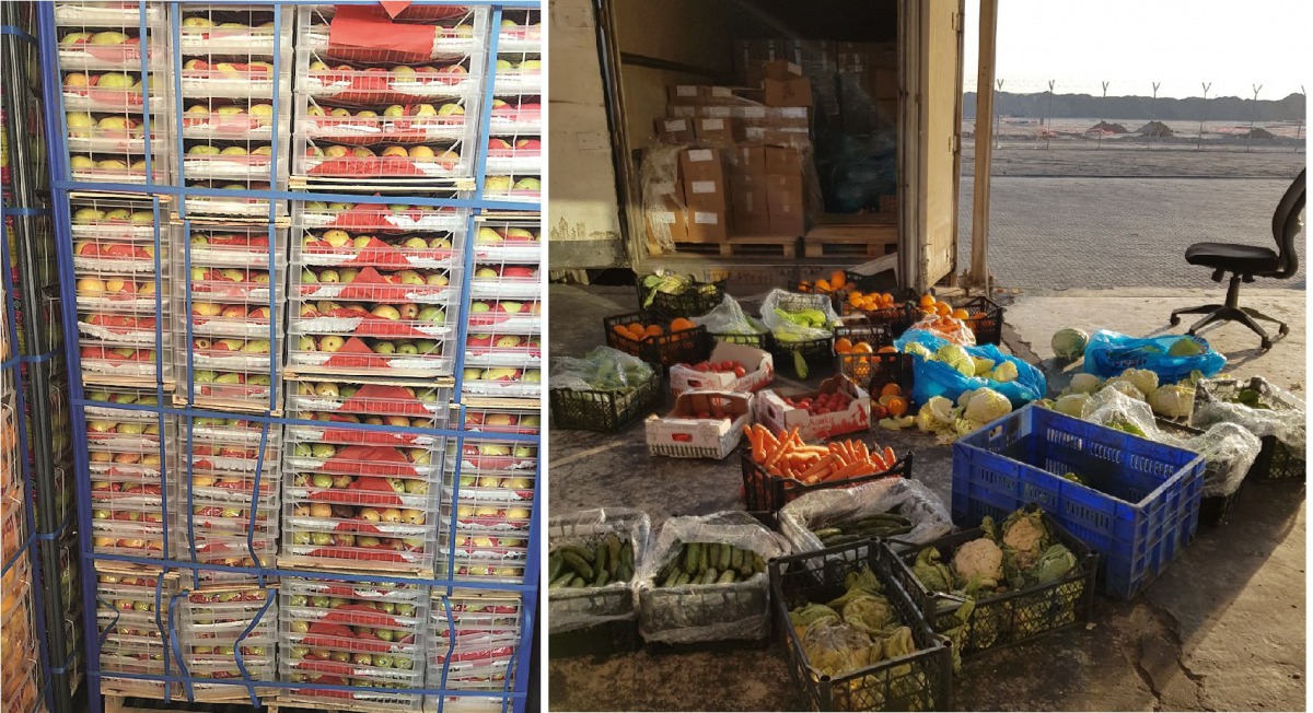 View of the imported consignment during inspection. 