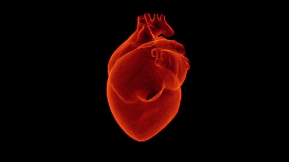 Image used for representation. 